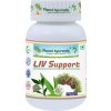 PlanetAyurveda-LivSupport