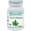 Carica Papaya - podpora krevních destiček