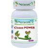 Cissus Power - 500 mg, 60 kapslí