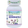 Planet Ayurveda-Indian Echinacea