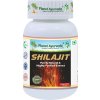 Planet Ayurveda-Shilajit