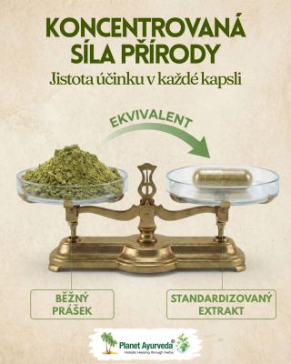 „Jistota účinku v každé kapsli.“ ✨ To není jen fráze. Proč naše produkty fungují silněji a rychleji? Odpověď se skrývá v...