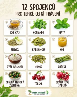 S příchodem června a prvních letních veder 🌞 přirozeně stoupá Pitta – energie ohně v nás. 🔥 V těle se v tomto období může...