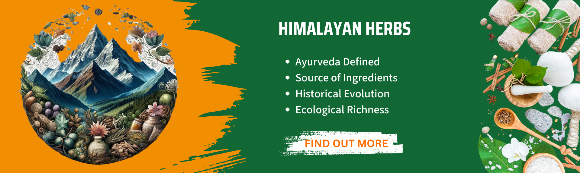 Himalayan herbs