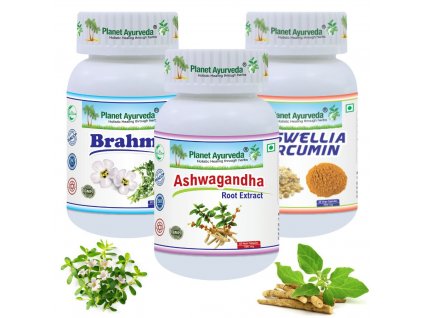 Planet Ayurveda kliestova encefalitida