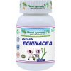 Planet Ayurveda-Indian Echinacea