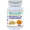 PlanetAyurveda-Boswellia Curcumin
