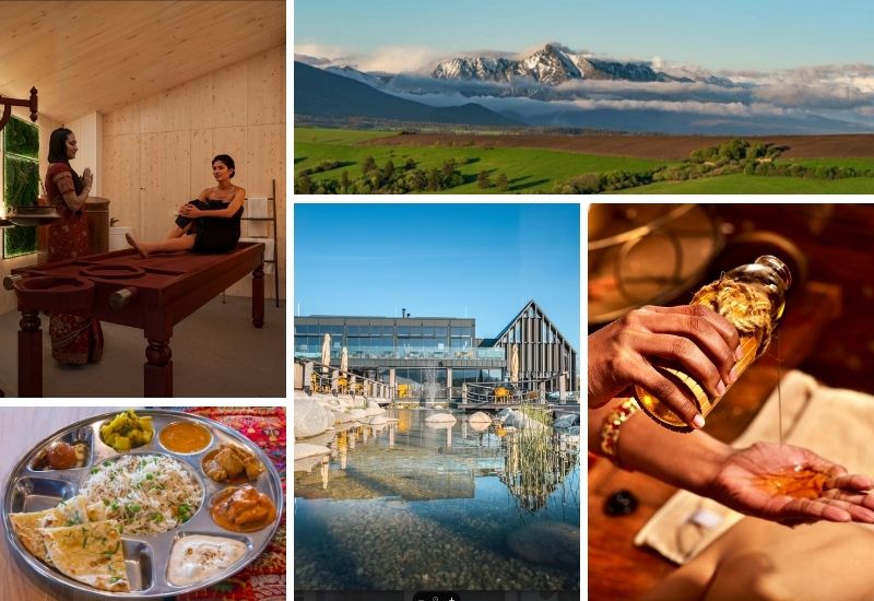 Demanova panchakarma