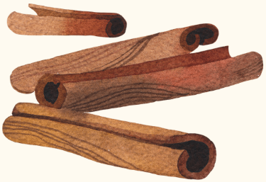 Cinnamomum verum