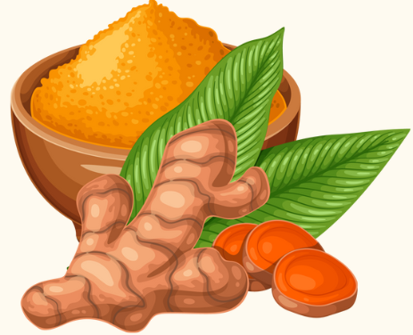 Curcuma longa (Turmeric)