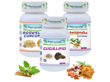 Planet Ayurveda vyskocena platnicka