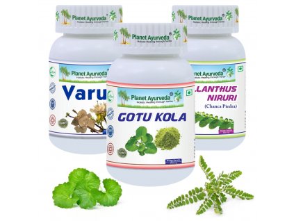 Planet Ayurveda glaukom zeleny zakal