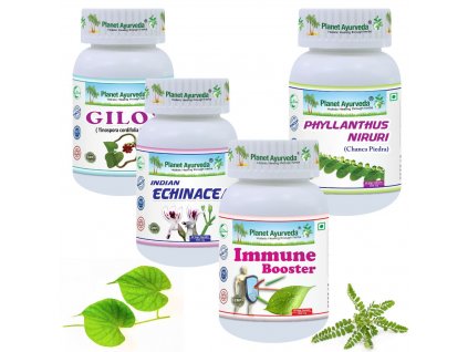 Planet Ayurveda virusove infekcie