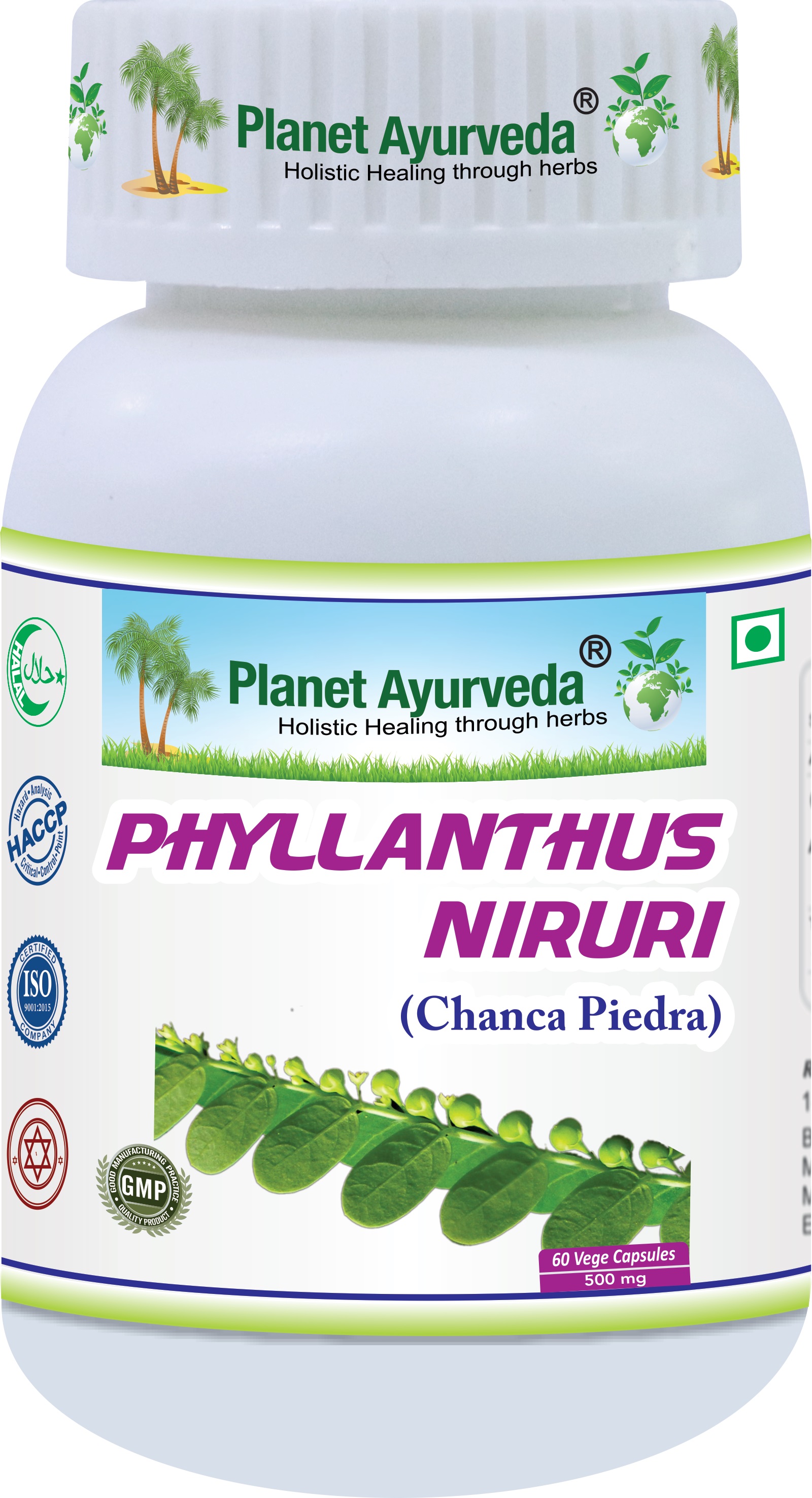 E-shop Chanca Piedra (Phyllanthus niruri) - Obličky, Detox - 500 mg, 60 kapsúl