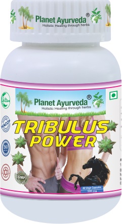 E-shop Tribulus Power - Testosterón, Svaly, Energia - 500 mg, 60 kapsúl