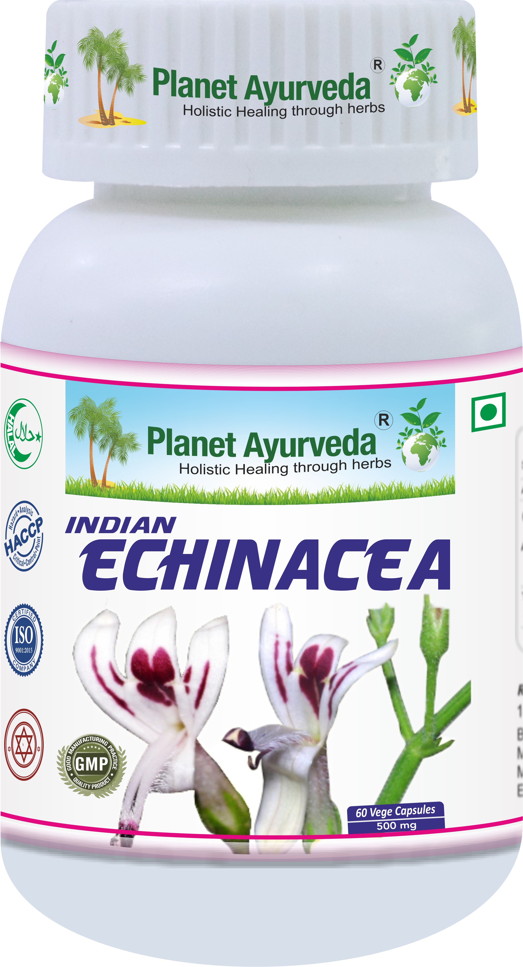 E-shop Indická Echinacea (Právenka latnatá) - Vírusy, Imunita - 500 mg, 60 kapsúl