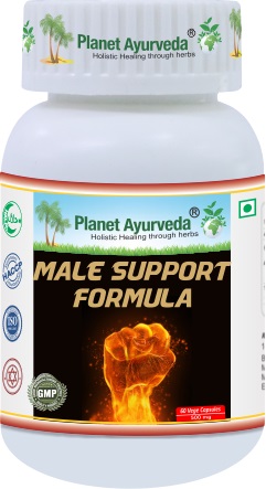 E-shop Male Support Formula - Vitalita, Potencia, Rovnováha - 500 mg, 60 kapsúl
