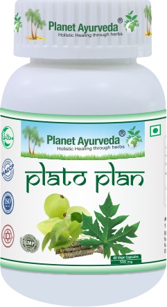 E-shop Plato Plan - Podpora krvi, Imunita - 500 mg, 60 kapsúl