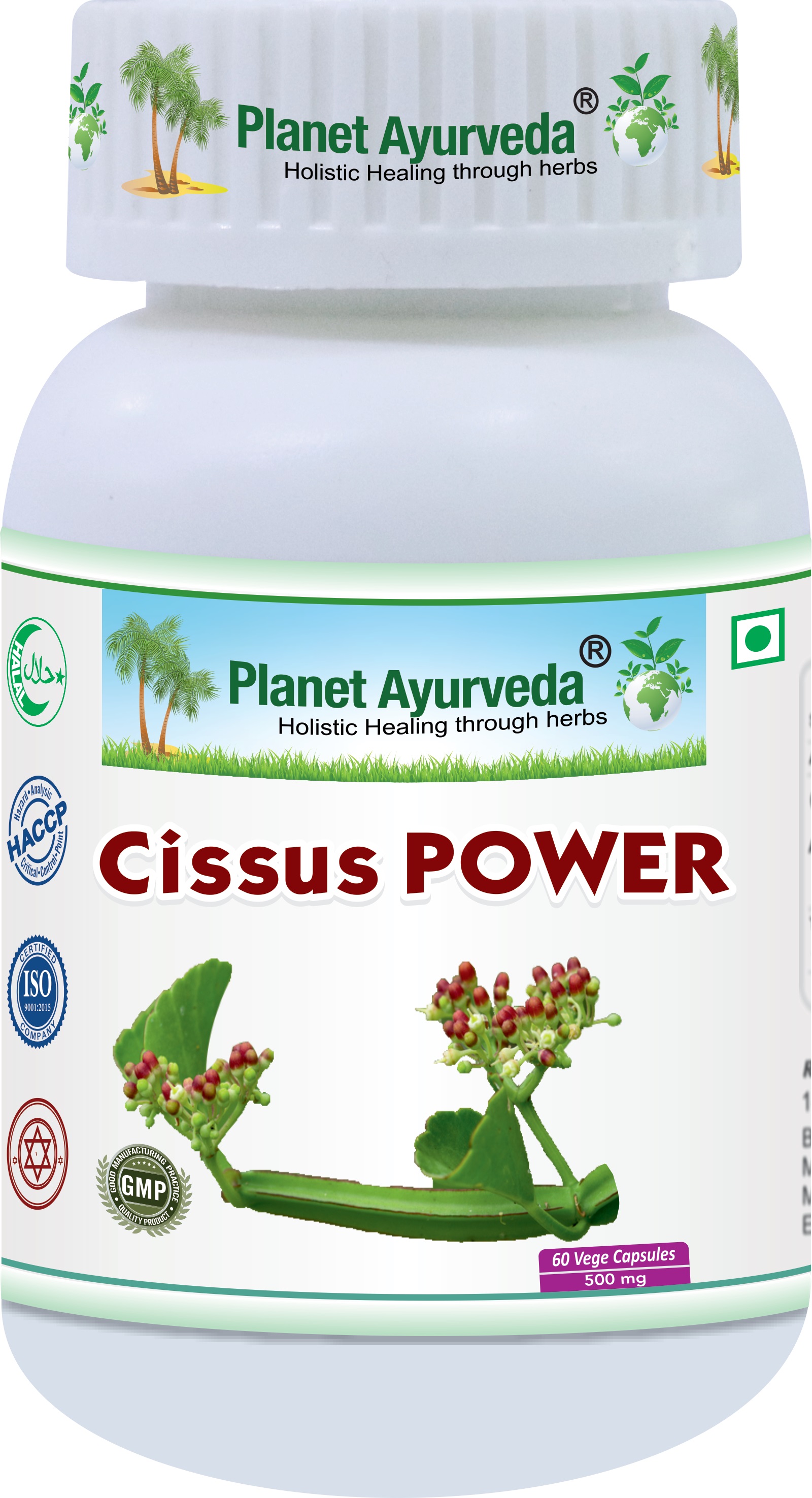 E-shop Cissus Power - Kĺby, Kosti - 500 mg, 60 kapsúl