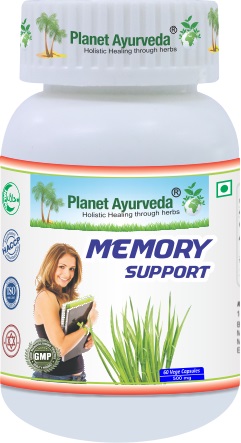 E-shop Memory Support - Pamäť, Sústredenie - 500 mg, 60 kapsúl