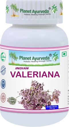 E-shop Indická Valeriána - Spánok, Pokojná myseľ - 500 mg, 60 kapsúl
