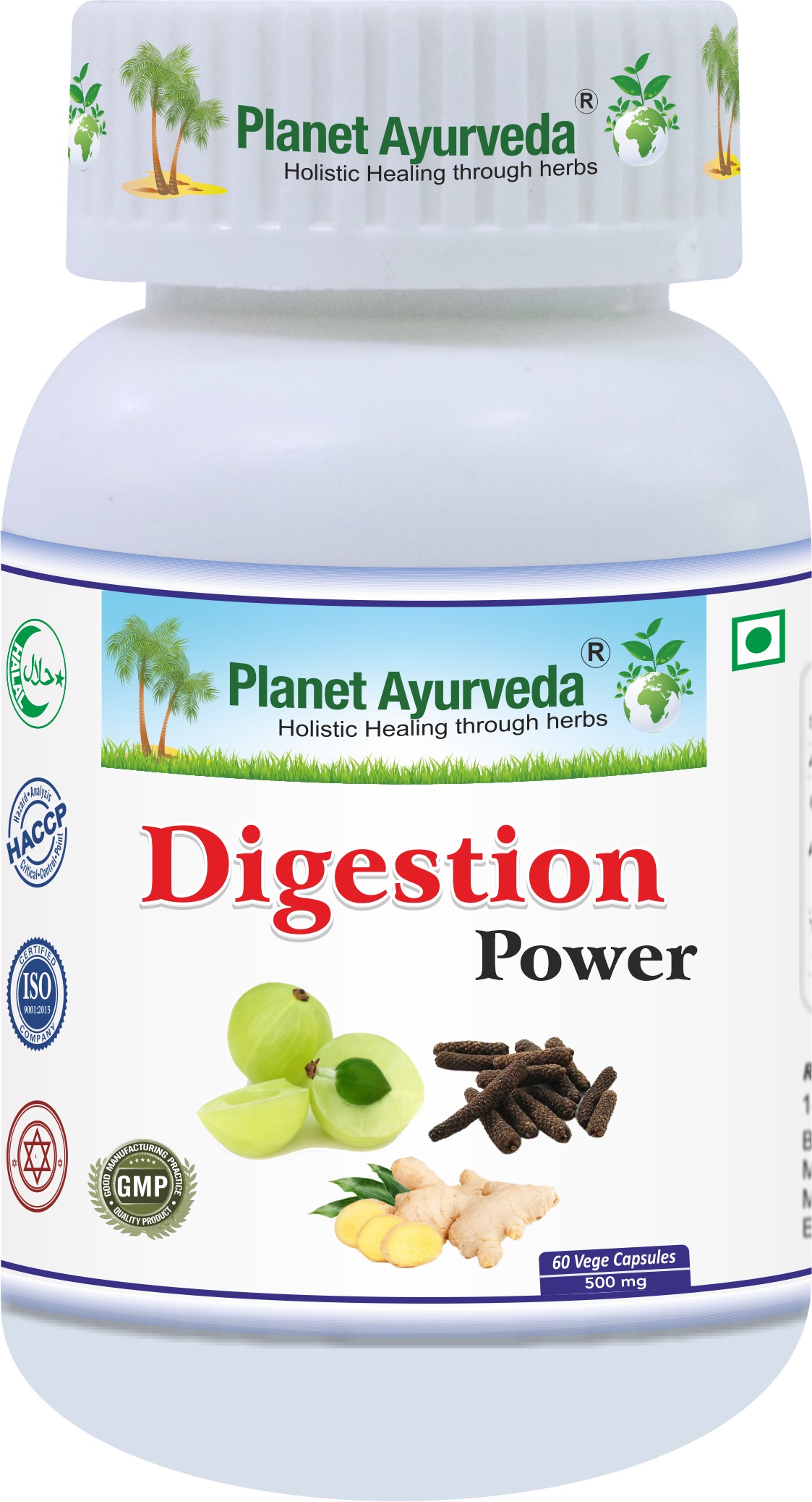 E-shop Digestion POWER - Trávenie, Toxíny - 500 mg, 60 kapsúl