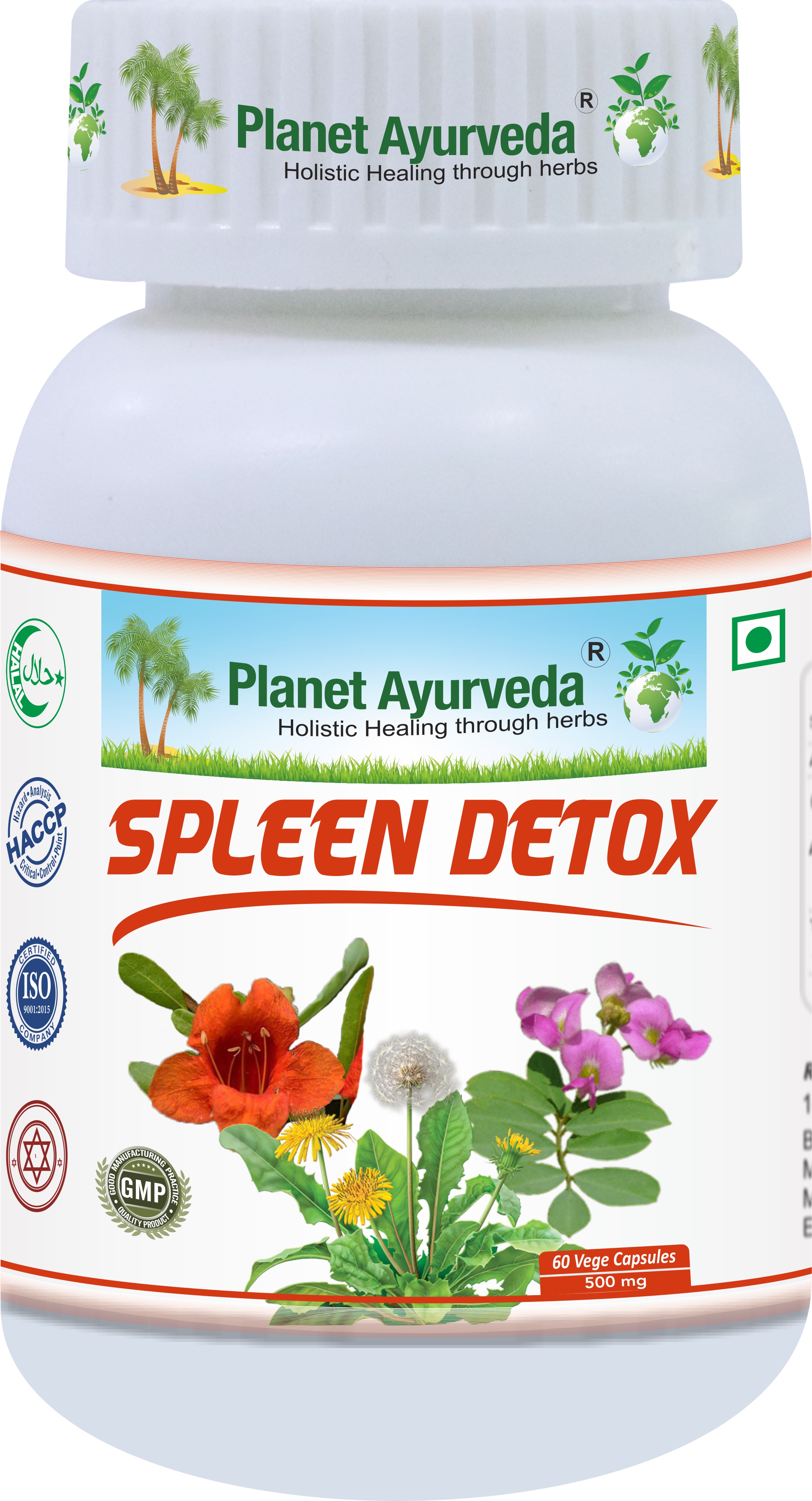 E-shop Spleen Detox - Zdravie, regenerácia a detox sleziny - 500 mg, 60 kapsúl
