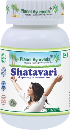E-shop Shatavari - 500 mg, 60 kapsúl