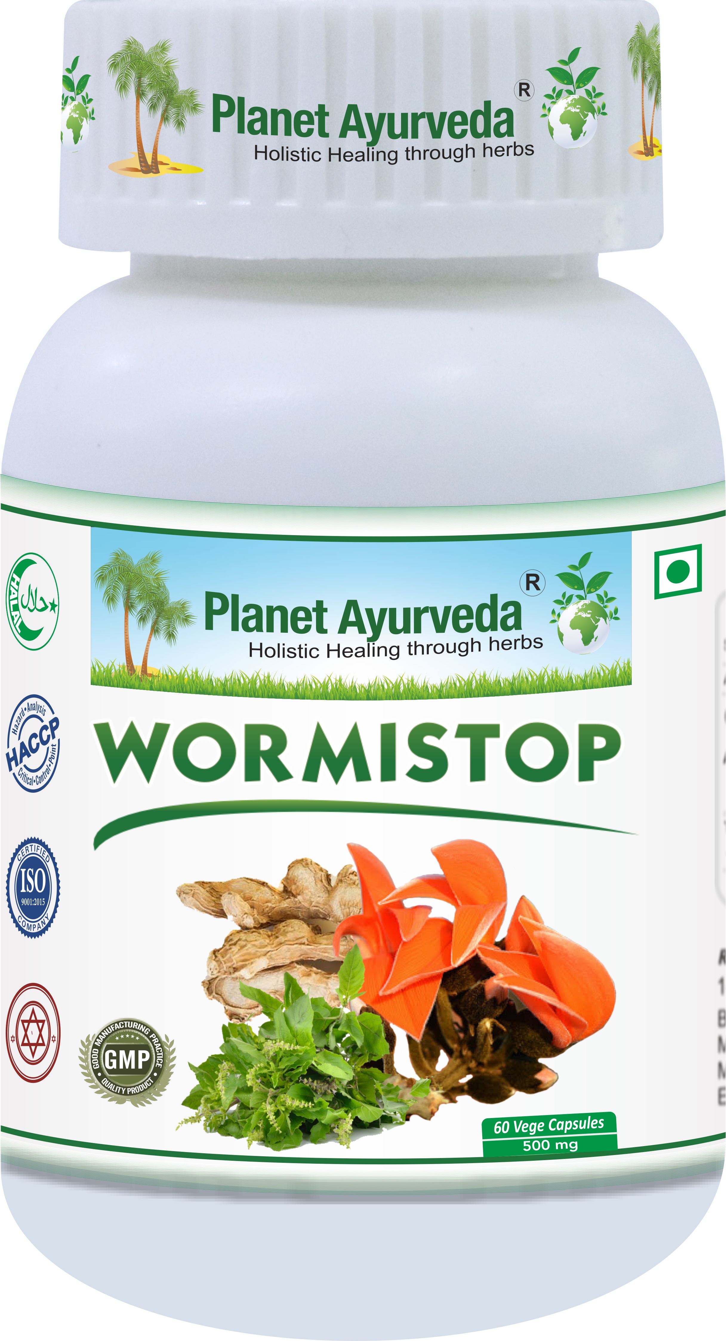 E-shop Wormistop - Črevné parazity, Detox - 500 mg, 60 kapsúl