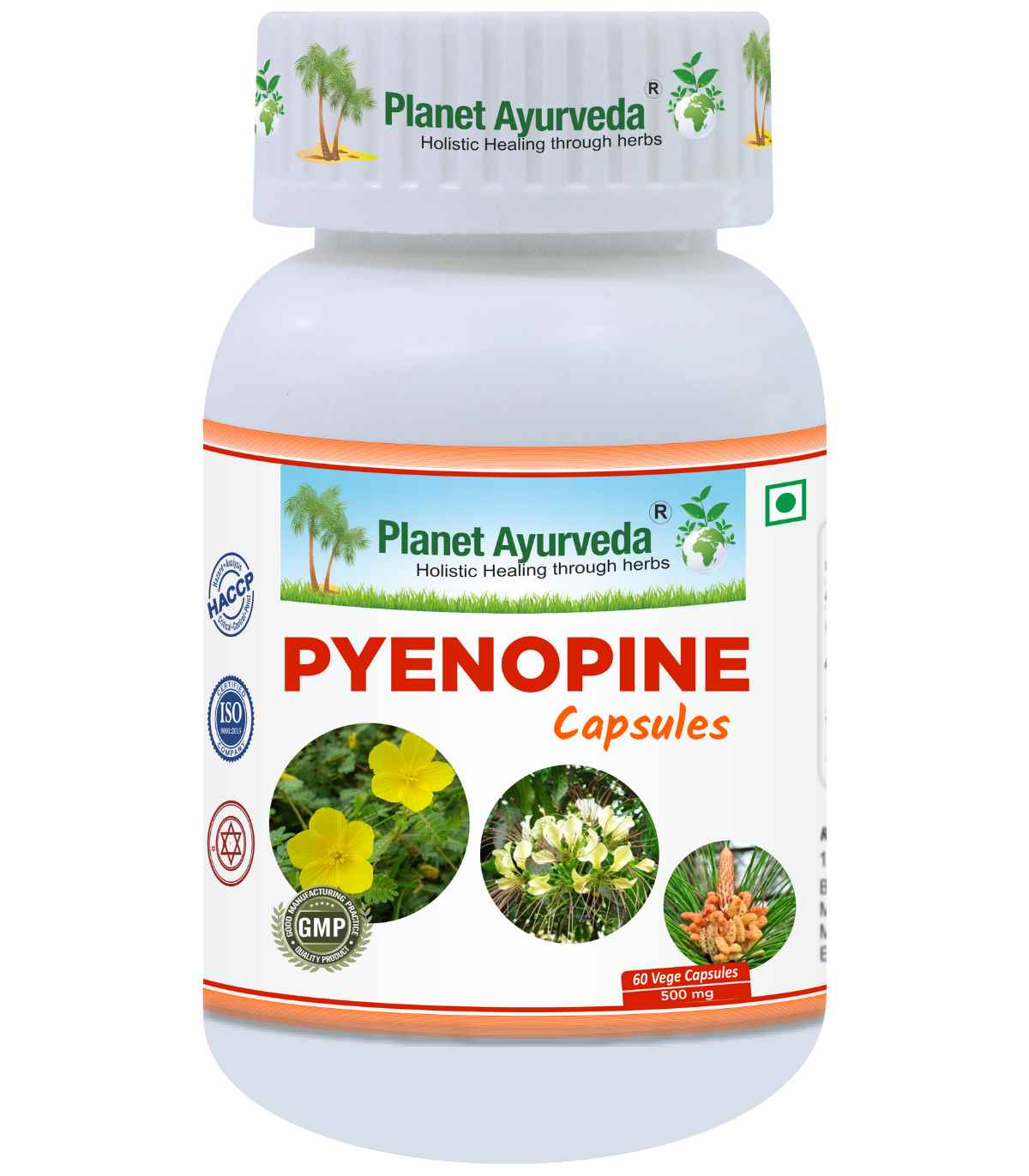E-shop Pyenopine - Močové cesty, Obličky - 500 mg, 60 kapsúl