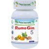 RumoGin5 - Kĺby, Zápaly - 500 mg, 60 kapsúl