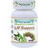 Liv Support - Pečeň, Detox - 500 mg, 60 kapsúl