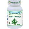 Carica Papaya- Imunita, Krvné doštičky- 500 mg, 60 kapsúl