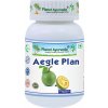 Planet Ayurveda- Aegle Plan
