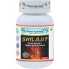 PlanetAyurveda Shilajit