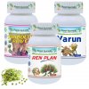 Planet Ayurveda problemy s prostatou