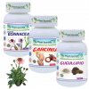 Planet ayurveda chudnutie