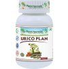 Urico Plan - Zdravie močového systému - 500 mg, 60 kapsúl
