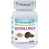 PlanetAyurveda Gugullipid