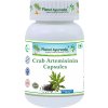 Crab Artemisinin - Podpora boja proti infekciám a zápalom - 500 mg, 60 kapsúl