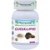 PlanetAyurveda-Gugullipid