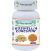 Boswellia-Curcumin, 500mg 60 kapsúl