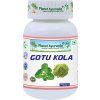 Gotu Kola - Pamäť, Koncentrácia, Depresie - 500 mg, 60 kapsúl