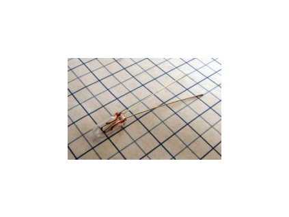 Orbitec Žiarovka 5V 115mA OR515 micro 4,2x12mm