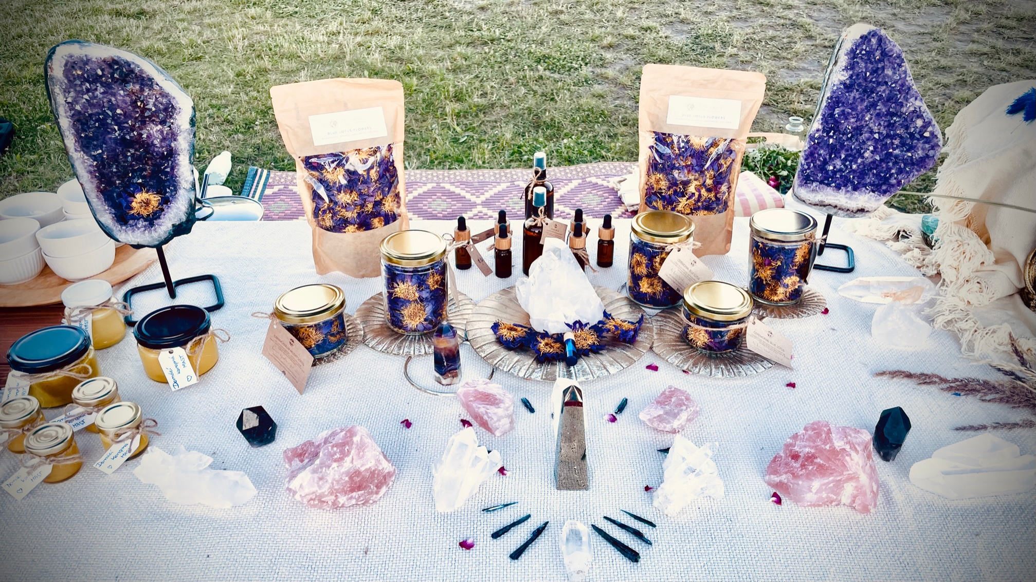 Úvodní foto Plannet concious market