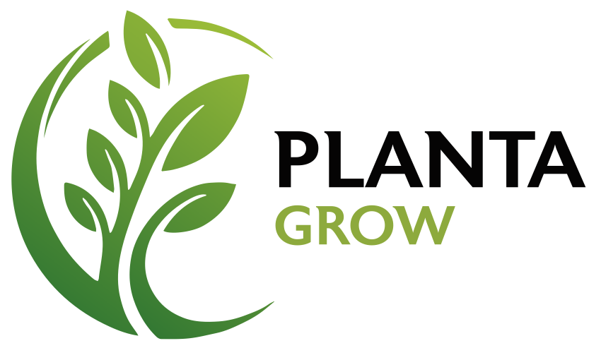 Planta Grow