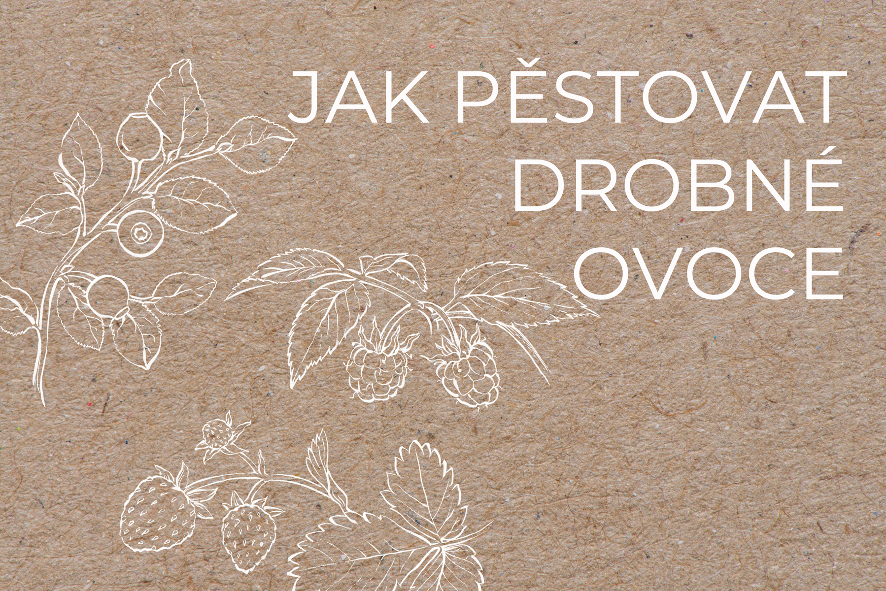 Jak pěstovat drobné ovoce