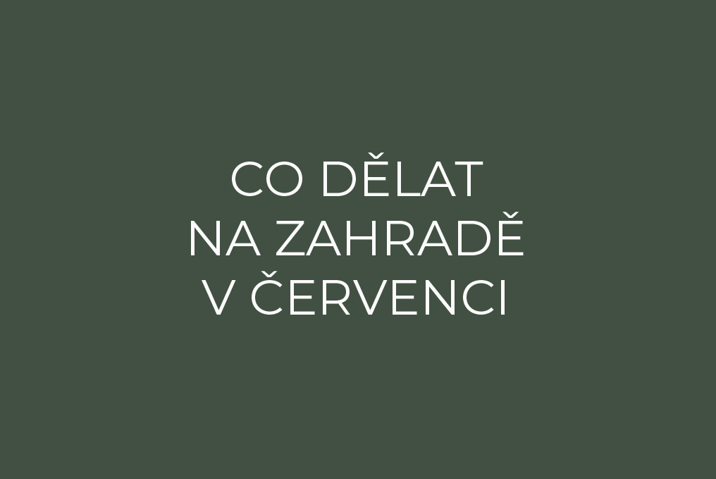 Co dělat na zahradě v červenci?