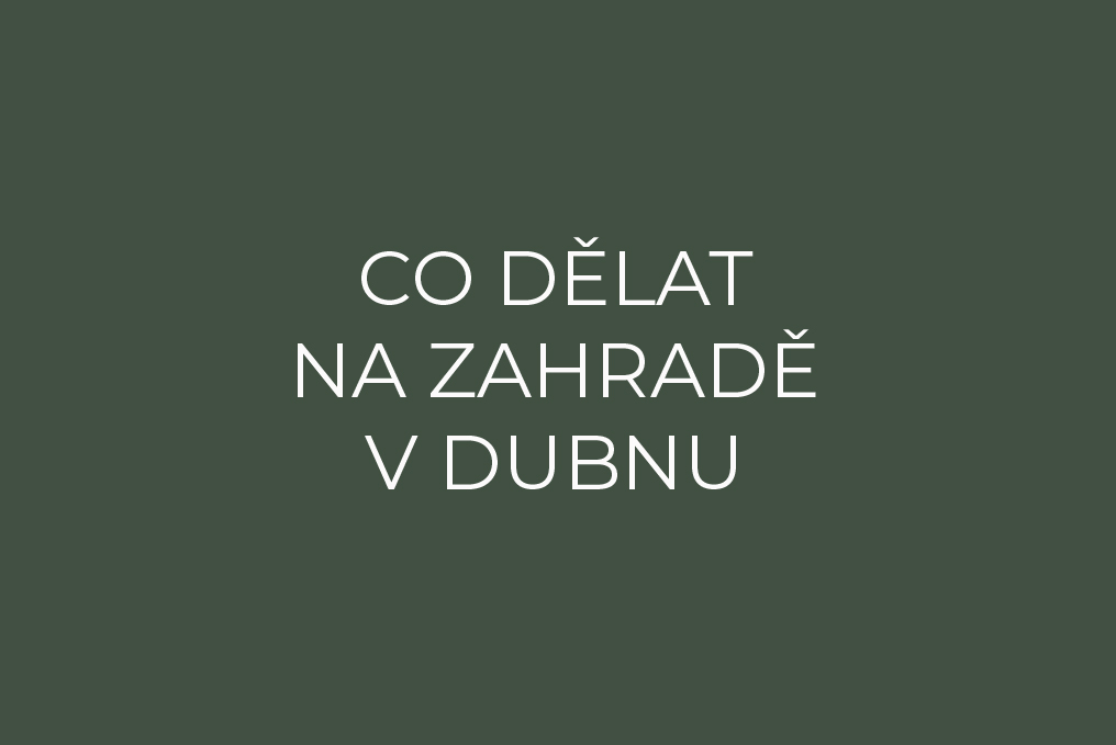 Co dělat na zahradě v dubnu?