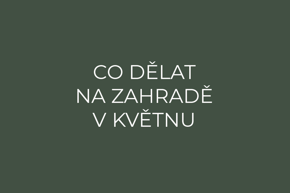 Co dělat na zahradě v květnu